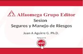 Sesion Seguros y Manejo de Riesgos Juan A Aguirre G. Ph.D.