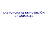 LAS FUNCIONES DE NUTRICIÓN en ANIMALES. FUNCIÓN DIGESTIVA.