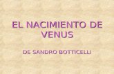 EL NACIMIENTO DE VENUS DE SANDRO BOTTICELLI. LA LEYENDA DE VENUS Según cuenta la leyenda Venus, diosa del amor, nació de los genitales del dios Urano,