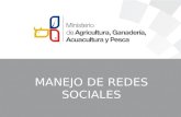 MANEJO DE REDES SOCIALES. Introducción Las redes sociales abrieron un nuevo canal de comunicación que impone a las marcas dos desafíos sin precedentes.