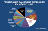 PRINCIPALES CAUSAS DE DEFUNCIÓN EN MÉXICO, 2010. COSTO SOCIAL DE LA DIABETES Gasto total en USA atribuible a la diabetes en 2002 Costo directo: $91.9.