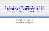 EL CUESTIONAMIENTO DE LA PROPIEDAD INTELECTUAL EN LA AGROBIODIVERSIDAD Elizabeth Bravo Acción Ecológica.