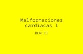 Malformaciones cardíacas I BCM II. Anomalías en cualquiera de las etapas del desarrollo del corazón y los grandes vasos puede constituir una malformación.