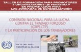 PUCALLPA, PERU AGOSTO 29 AL 31, 2008. JESUS DEL CASTILLO RIVERO – CGTP PERU ANTECEDENTES CNPLCTF La Comisión Nacional para la Lucha contra el trabajo.