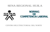 SENA REGIONAL HUILA CENTRO MULTISECTORIAL DEL NORTE.