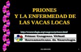JAL-CBM-UAM1 PRIONES Y LA ENFERMEDAD DE LAS VACAS LOCAS .