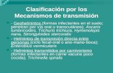 Clasificación por los Mecanismos de transmisión - Geohelmintos (formas infectantes en el suelo; penetran por vía oral o transcutánea); Ascaris lumbricoides,
