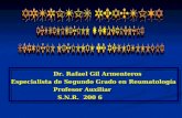 Dr. Rafael Gil Armenteros Especialista de Segundo Grado en Reumatología Profesor Auxiliar S.N.R. 200 6.