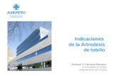 Indicaciones de la Artrodesis de tobillo Profesor A. Carranza Bencano (Universidad de Sevilla Departamento de Cirugía)