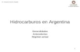 Dr. Eduardo Ramón Zapata 1 Hidrocarburos en Argentina Generalidades Antecedentes Régimen actual.