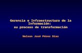 Gerencia e Infraestructura de la Información: su proceso de transformación Nelson José Pérez Díaz.
