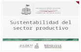 Sustentabilidad del sector productivo. Regulación Obligaciones ambientales de las empresas en Jalisco Av. Circunvalación Jorge Álvarez del Castillo No.