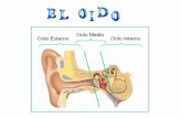 El oído está encargado de la audición y del equilibrio. Se divide en : Oído externo, oído medio y oído interno.