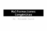 Malformaciones Congénitas Dr. Ricardo Curcó. Enfermedad congénita Cualquier proceso patológico existente en el momento del nacimiento, detectable o no.