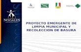 PROYECTO EMERGENTE DE LIMPIA MUNICIPAL Y RECOLECCION DE BASURA.