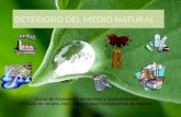 Curso de Evaluación Ambiental y Sostenibilidad Escuela de verano 2011. Universidad Complutense de Madrid.