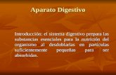 Aparato Digestivo Introducción: el sistema digestivo prepara las substancias esenciales para la nutrición del organismo al desdoblarlas en partículas suficientemente.