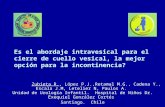 Es el abordaje intravesical para el cierre de cuello vesical, la mejor opción para la incontinencia? Zubieta R., López P.J.,Retamal M.G., Cadena Y., Escala.