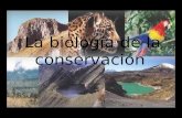La biología de la conservación. Es la disciplina que provee los fundamentos técnicos y científicos requeridos para orientar las acciones de conservación.