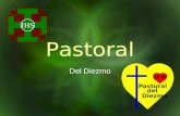 Pastoral Del Diezmo. Pastoral del Diezmo No se trata solamente de recaudar fondos. Es una Pastoral integralmente ligada a la evangelización de los fieles.