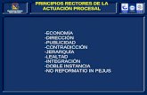 PRINCIPIOS RECTORES DE LA ACTUACIÓN PROCESAL -ECONOMÍA -DIRECCIÓN -PUBLICIDAD -CONTRADICCIÓN -JERARQUÍA -LEALTAD -INTEGRACIÓN -DOBLE INSTANCIA -NO REFORMATIO.