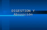 DIGESTION Y Absorción. DIGESTION Es la partición de las macromoléculas en sus moléculas o subunidades moleculares constituyentes, para su posterior absorción.