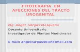 FITOTERAPIA EN AFECCIONES DEL TRACTO UROGENITAL Mg. Angel Vargas Mosqueira Docente Universitario. Investigador de Plantas Medicinales E-mail: angelvargas40@hotmail.com.