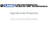 Ingeniería de Proyectos M.C. Juan Carlos Olivares Rojas.