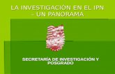 LA INVESTIGACIÓN EN EL IPN – UN PANORAMA SECRETARÍA DE INVESTIGACIÓN Y POSGRADO.