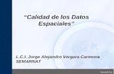“Calidad de los Datos Espaciales” L.C.I. Jorge Alejandro Vergara Carmona SEMARNAT.