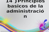 14 }Principios basicos de la administración. 5 2 67 3 41 8 9 1010 11 1212 1313 1414.