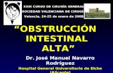 Dr. José Manuel Navarro Rodríguez Hospital General Universitario de Elche (Alicante) “OBSTRUCCIÓN INTESTINAL ALTA” XXIII CURSO DE CIRUGÍA GENERAL SOCIEDAD.