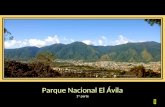 Parque Nacional El Ávila 1 ra parte   Guararia Repano es el nombre que los toromaímas daban a la serranía que separa la ciudad de Caracas del mar Caribe,