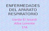 ENFERMEDADES DEL APARATO RESPIRATORIO Uarda El Issaidi Alba Lorente 1ºA.