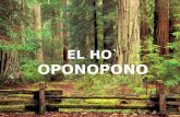 EL HO` OPONOPONO El Ho’oponopono es una vía para liberar la energía de los pensamientos dolorosos que causan desequilibrio y enfermedades. Ho´oponopono;