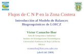 Flujos de C N P en la Zona Costera Introducción al Modelo de Balances Biogeoquímicos de LOICZ Victor Camacho-Ibar Area de Geoquímica Ambiental Instituto.