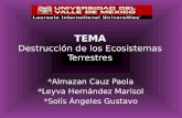 TEMA Destrucción de los Ecosistemas Terrestres *Almazan Cauz Paola *Leyva Hernández Marisol *Solís Ángeles Gustavo.