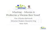 Mashiaj – Mesías 6 Profecías y Mesias Ben Yosef Por: Eliyahu BaYonah Director Shalom Haverim Org New York.