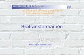 Biotransformación Prof. José Rafael Luna Facultad de Farmacia y Bioanálisis Escuela de Bioanálisis.