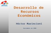 Héctor Marincioni Noviembre de 2008 Desarrollo de Recursos Económicos.