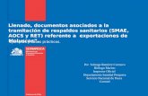 Llenado, documentos asociados a la tramitación de respaldos sanitarios (SMAE, AOCS y RET) referente a exportaciones de Moluscos”. Ejemplos y casos prácticos.