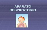 APARATO RESPIRATORIO. APARATO RESPIRATORIO: La respiración es un proceso involuntario y automático, en que se extrae el oxígeno del aire inspirado y.