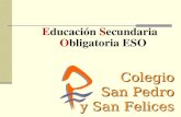Educación Secundaria Obligatoria ESO Colegio San Pedro y San Felices.