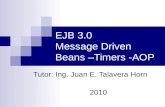 EJB 3.0 Message Driven Beans –Timers -AOP Tutor: Ing. Juan E. Talavera Horn 2010.