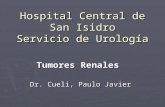 Hospital Central de San Isidro Servicio de Urología Tumores Renales Dr. Cueli, Paulo Javier.