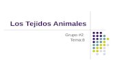 Los Tejidos Animales Grupo #2 Tema:8. Integrantes Yolanda Gallardo Maria Esther García Michelle Recarte Katherine López.