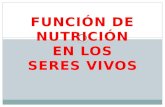 FUNCIÓN DE NUTRICIÓN EN LOS SERES VIVOS.