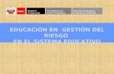 PERÚ Ministerio de Educación Vice Ministerio de Gestión Pedagógica Dirección de Educación Comunitaria y Ambiental EDUCACIÓN EN GESTIÓN DEL RIESGO EN EL.