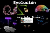 John Jader Rivera Usme. LA EVOLUCIÓN BIOLÓGICA Hipótesis CREACIONISTAS (La vida tiene un origen sobrenatural, todo los seres vivos han sido creados por.