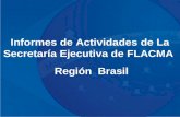 Informes de Actividades de La Secretaría Ejecutiva de FLACMA Región Brasil.